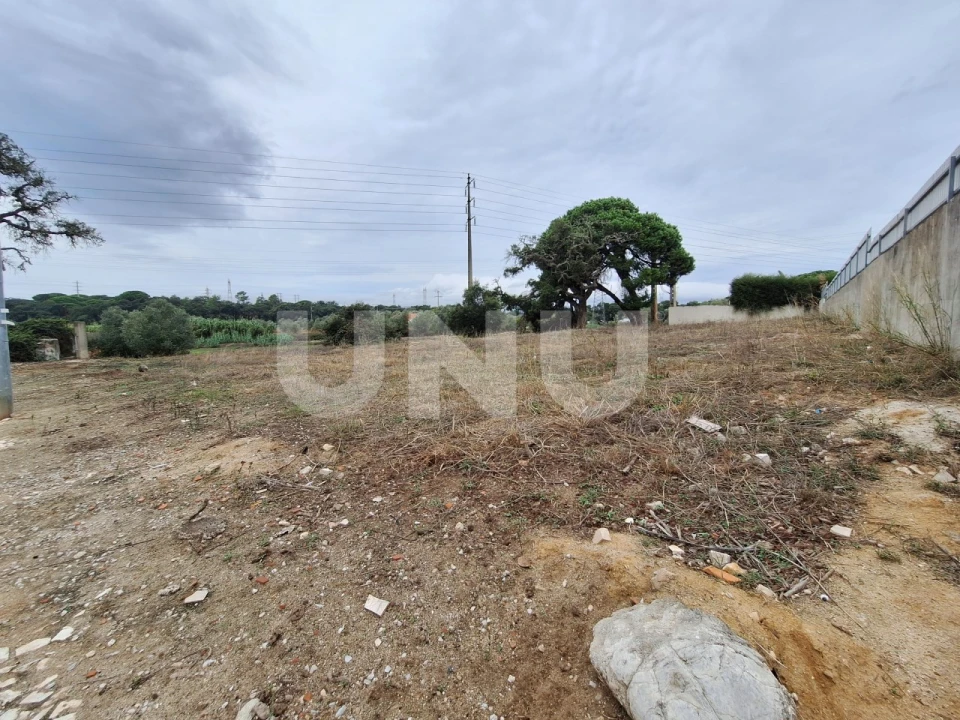 Terreno para Venda em Gambia-Pontes-Alto da Guerra Foto 5