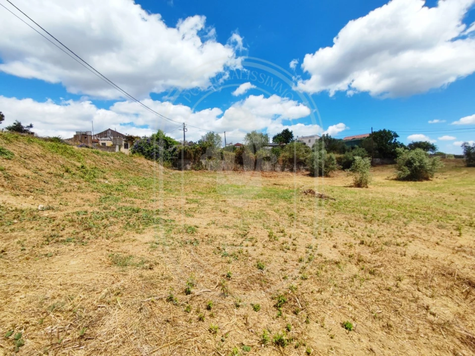 Terreno para Venda em Serra e Junceira Foto 9