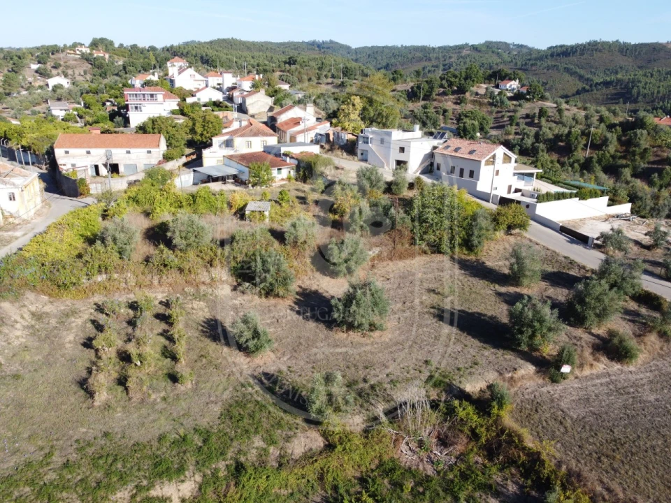 Terreno para Venda em Serra e Junceira Foto 37
