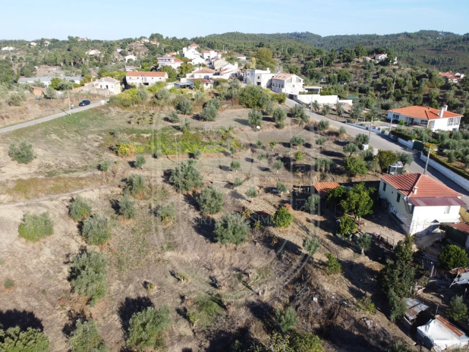 Terreno para Venda em Serra e Junceira Foto 39