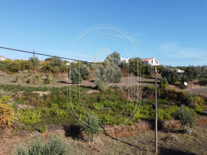 Terreno para Venda em Serra e Junceira Foto 36