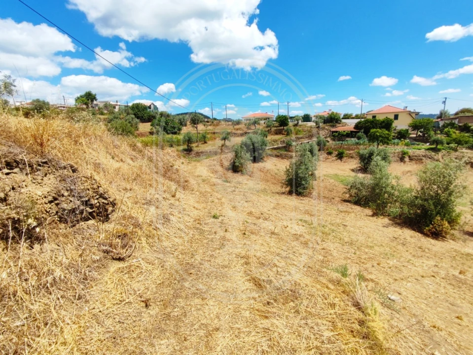 Terreno para Venda em Serra e Junceira Foto 16