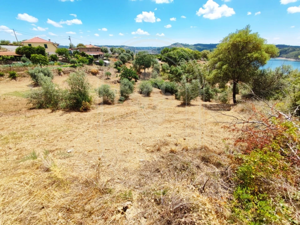 Terreno para Venda em Serra e Junceira Foto 17