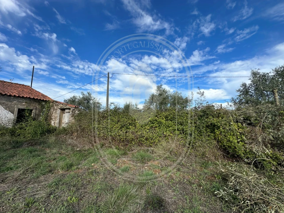 Moradia T2 para Venda em Chãos Foto 28