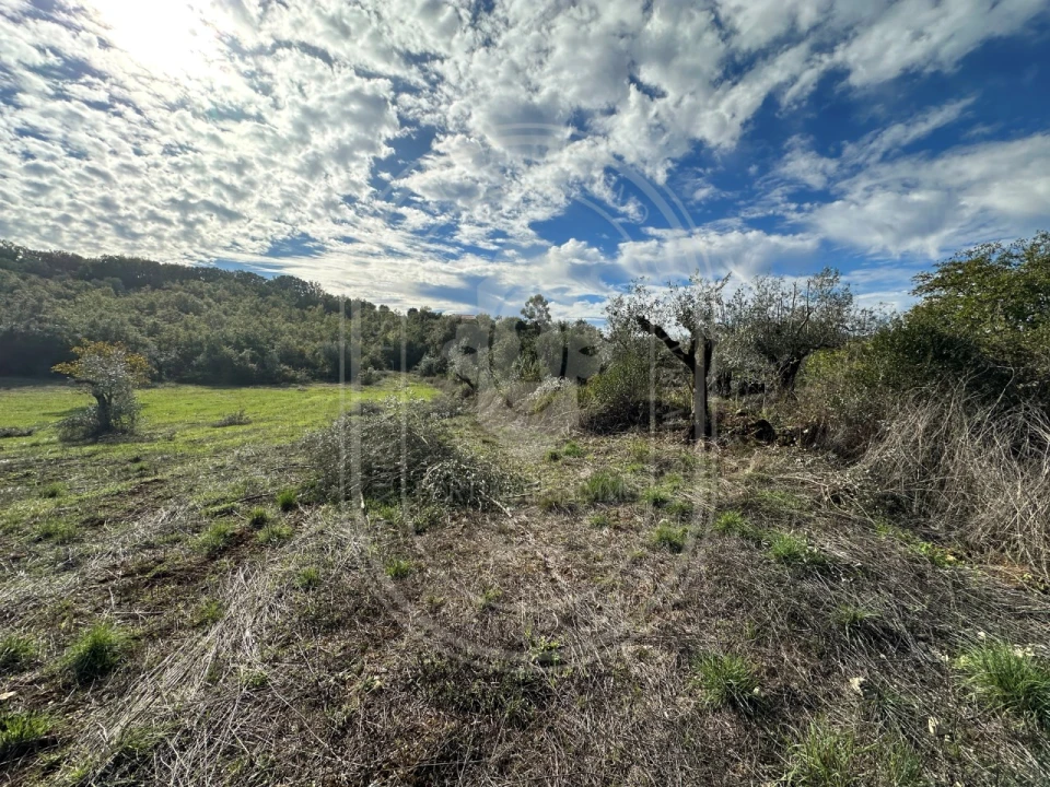 Moradia T2 para Venda em Chãos Foto 32