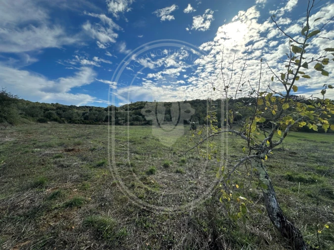 Moradia T2 para Venda em Chãos Foto 11