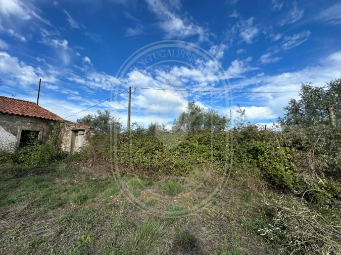 Moradia T2 para Venda em Chãos Foto 28