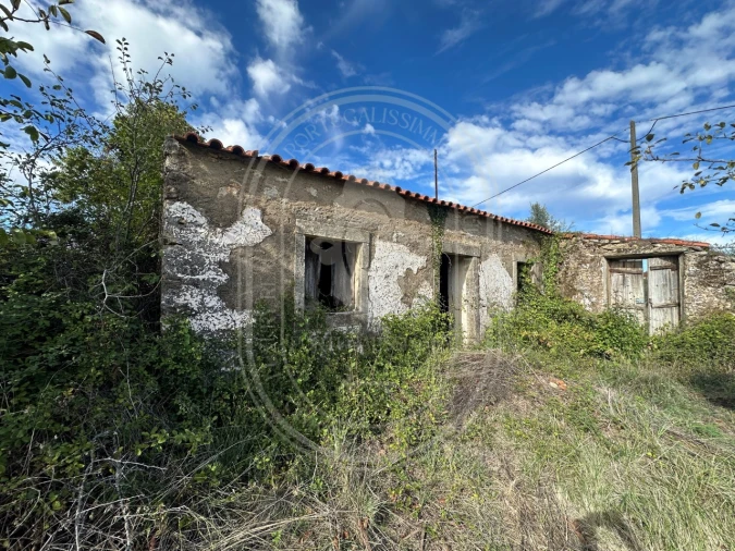 Moradia T2 para Venda em Chãos Foto 30