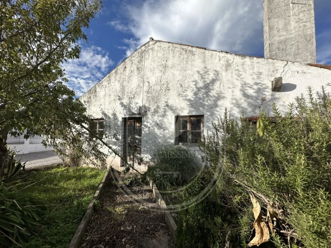 Moradia T3 para Venda em Areias e Pias Foto 39