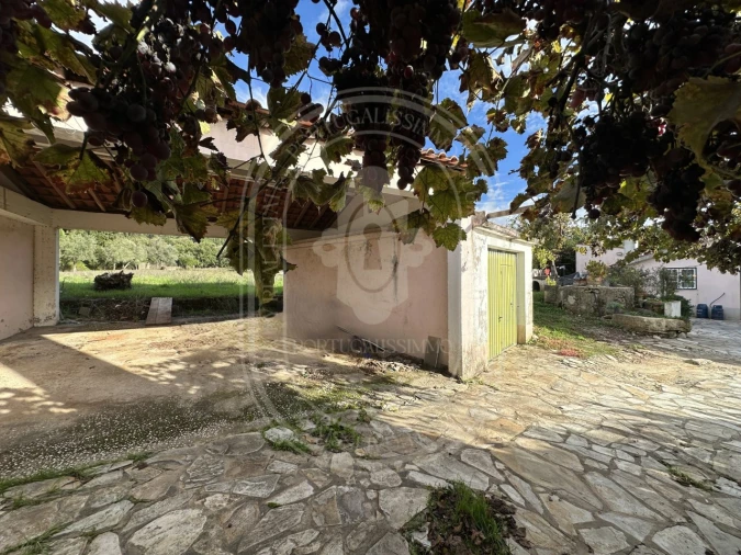 Moradia T3 para Venda em Areias e Pias Foto 49