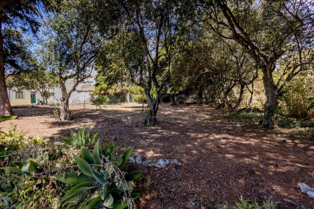 Quinta T6 para Venda em Alcabideche Foto 2