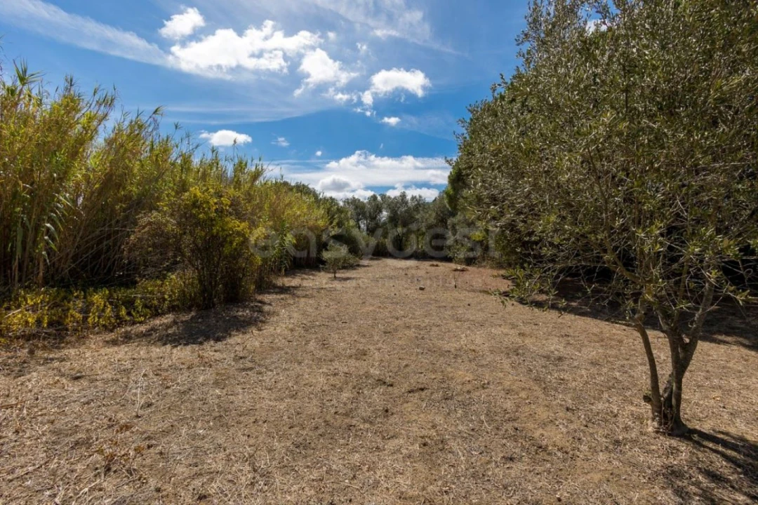 Quinta T6 para Venda em Alcabideche Foto 4