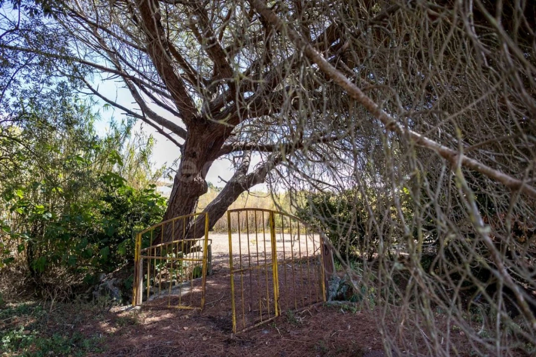 Quinta T6 para Venda em Alcabideche Foto 7