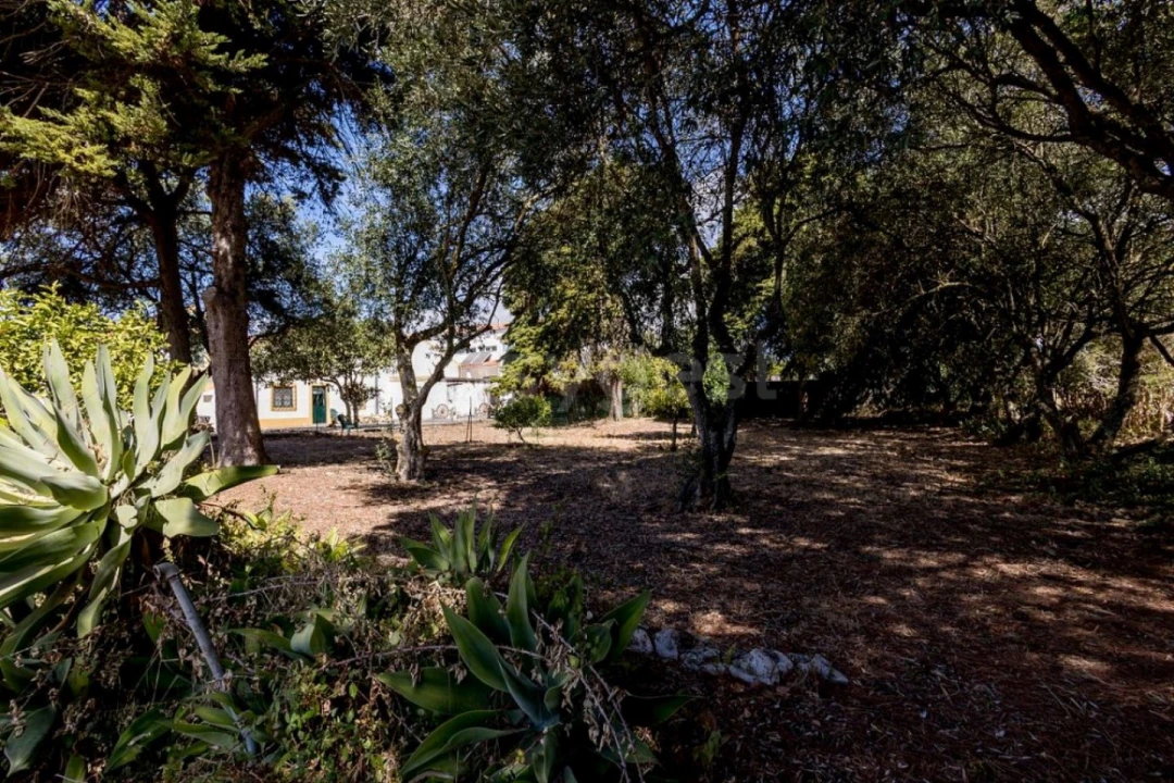 Quinta T6 para Venda em Alcabideche Foto 11