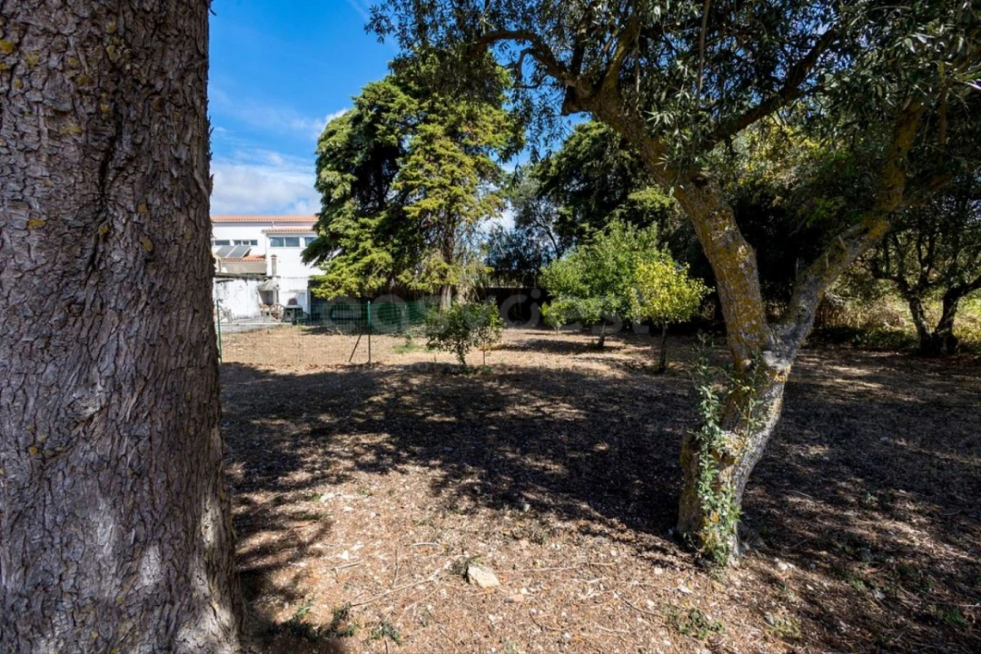 Quinta T6 para Venda em Alcabideche Foto 12