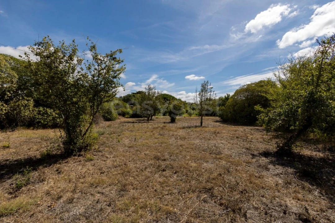 Quinta T6 para Venda em Alcabideche Foto 27