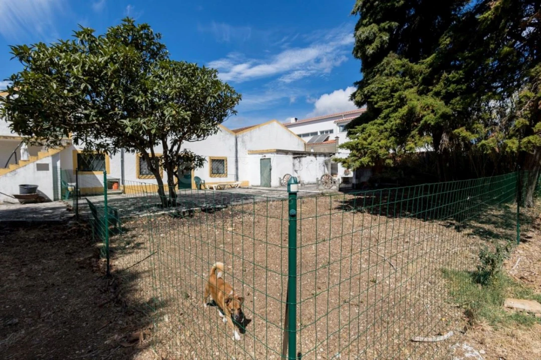 Quinta T6 para Venda em Alcabideche Foto 46
