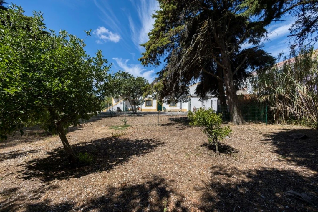 Quinta T6 para Venda em Alcabideche Foto 47
