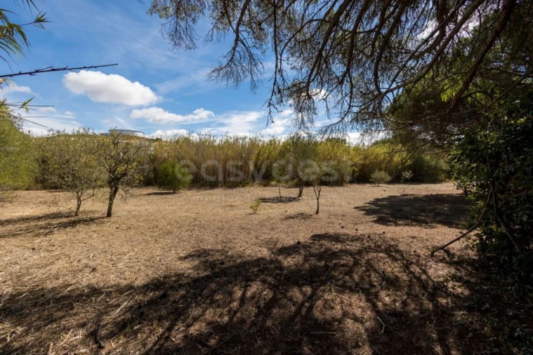 Quinta T6 para Venda em Alcabideche Foto 6