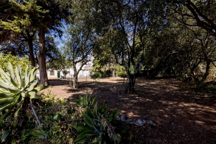 Quinta T6 para Venda em Alcabideche Foto 11