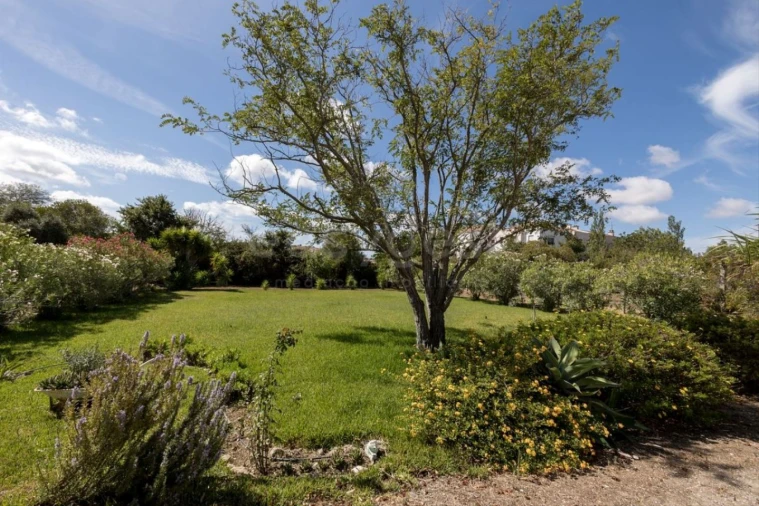 Quinta T6 para Venda em Alcabideche Foto 16