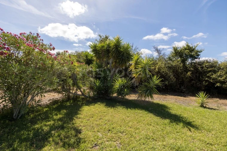 Quinta T6 para Venda em Alcabideche Foto 19