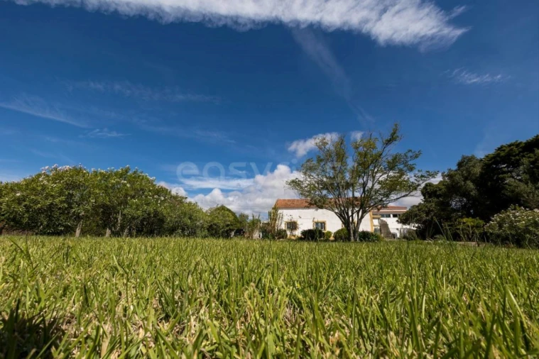 Quinta T6 para Venda em Alcabideche Foto 21