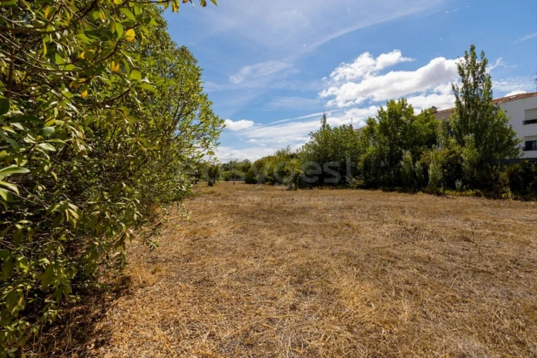 Quinta T6 para Venda em Alcabideche Foto 30