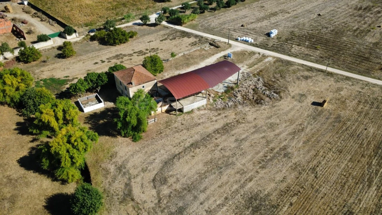 Quinta T3 para Venda em Torres Novas (Santa Maria, Salvador e Santiago) Foto 4