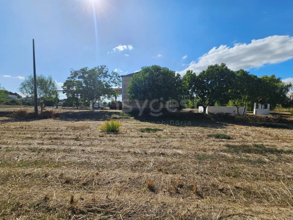 Quinta T3 para Venda em Torres Novas (Santa Maria, Salvador e Santiago) Foto 30