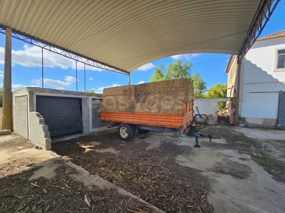 Quinta T3 para Venda em Torres Novas (Santa Maria, Salvador e Santiago) Foto 35