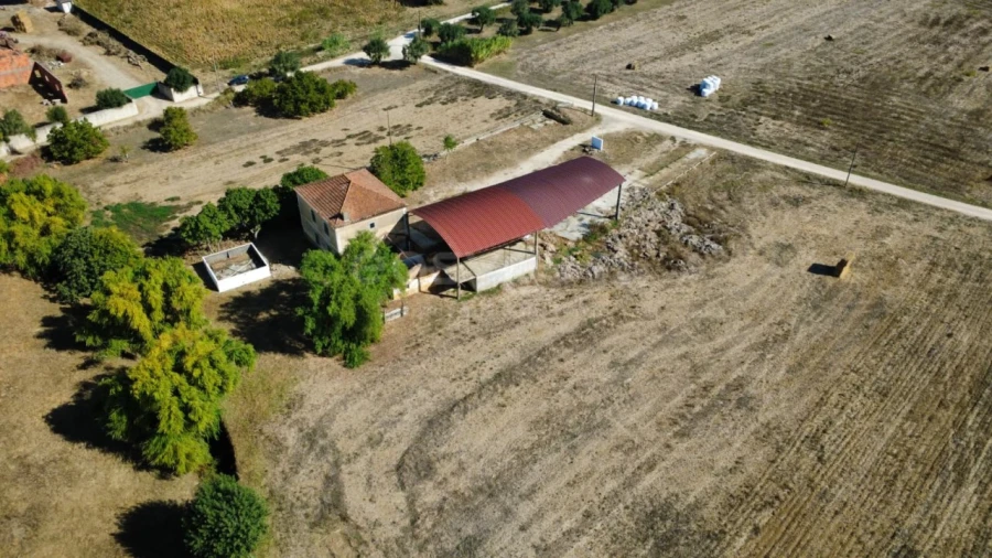Quinta T3 para Venda em Torres Novas (Santa Maria, Salvador e Santiago) Foto 4