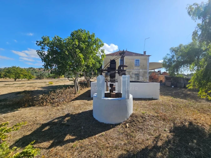 Quinta T3 para Venda em Torres Novas (Santa Maria, Salvador e Santiago) Foto 15