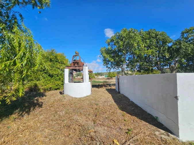 Quinta T3 para Venda em Torres Novas (Santa Maria, Salvador e Santiago) Foto 22