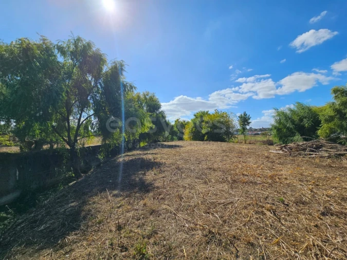 Quinta T3 para Venda em Torres Novas (Santa Maria, Salvador e Santiago) Foto 27