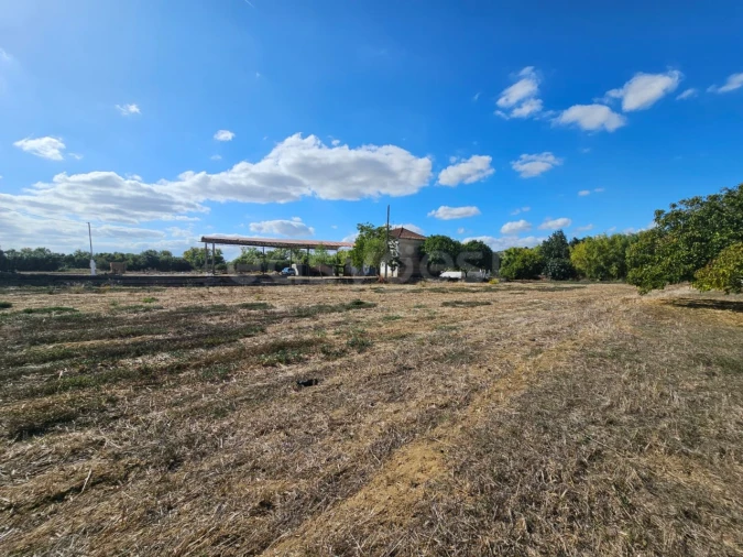 Quinta T3 para Venda em Torres Novas (Santa Maria, Salvador e Santiago) Foto 28