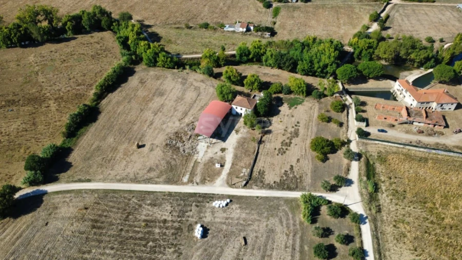 Quinta T3 para Venda em Torres Novas (Santa Maria, Salvador e Santiago) Foto 38