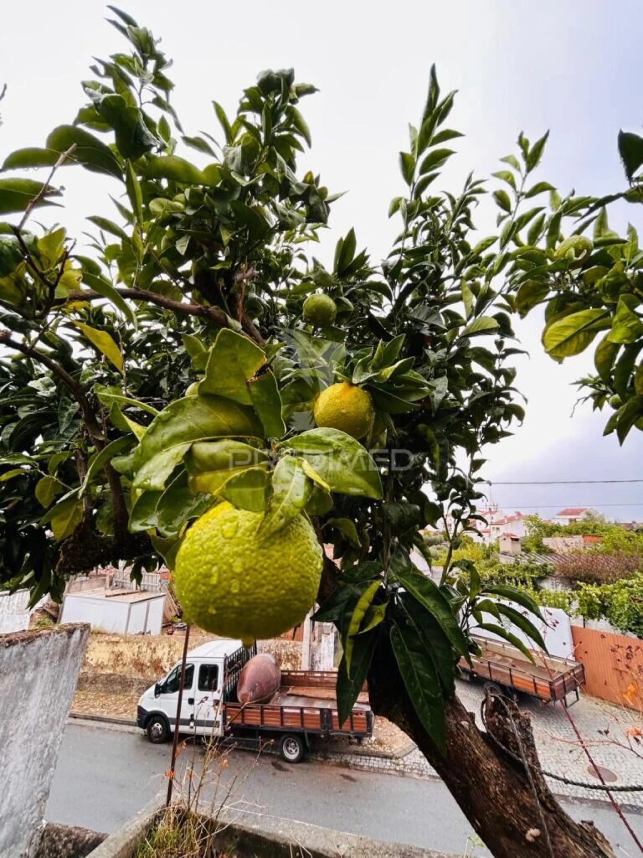 Moradia T4 para Venda em Tolosa Foto 19