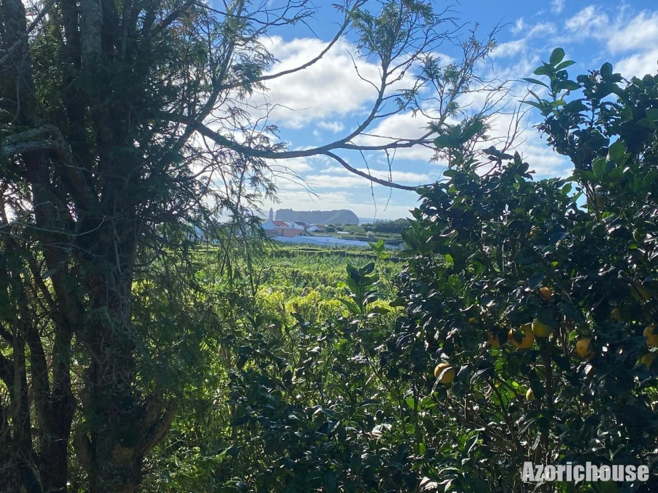 Terreno para Venda em Ribeira das Tainhas Foto 7