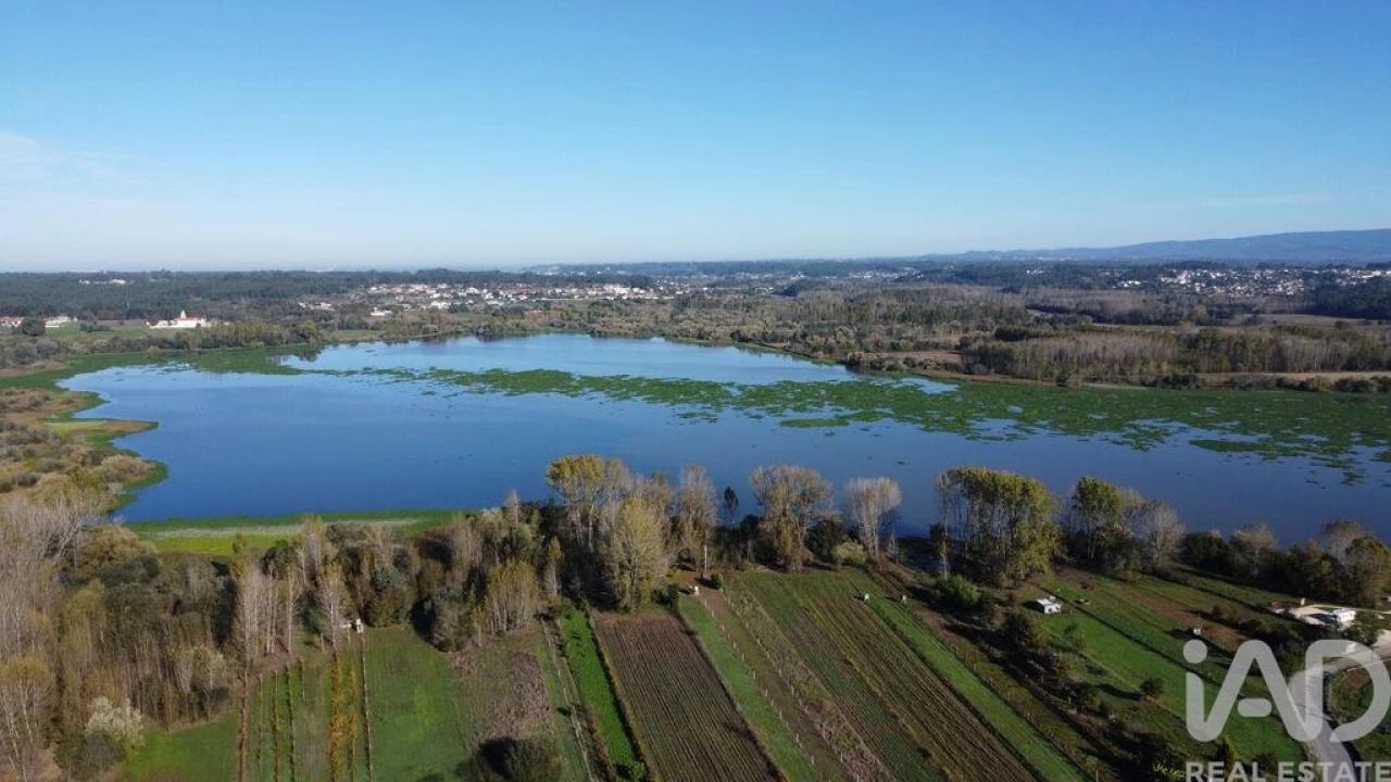 Prédio para Venda em Fermentelos Foto 8