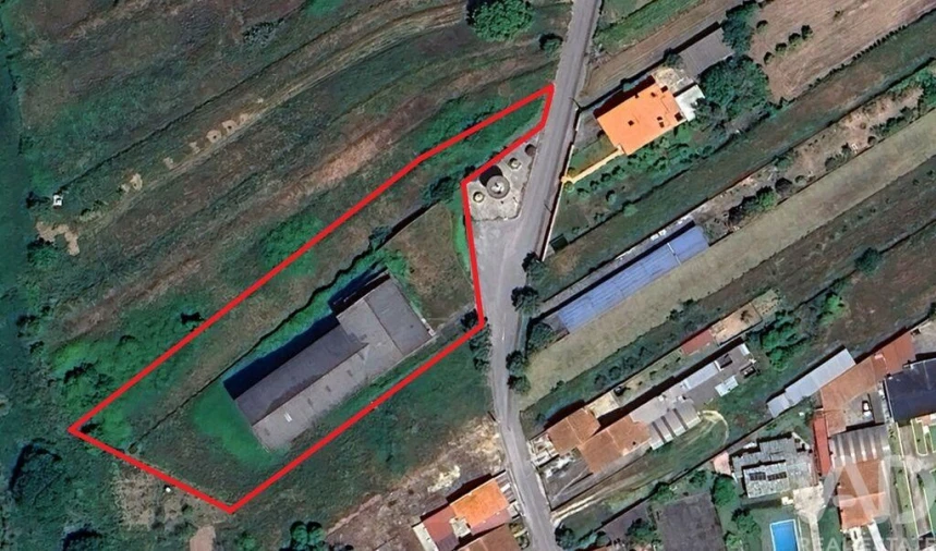 Prédio para Venda em Fermentelos Foto 11