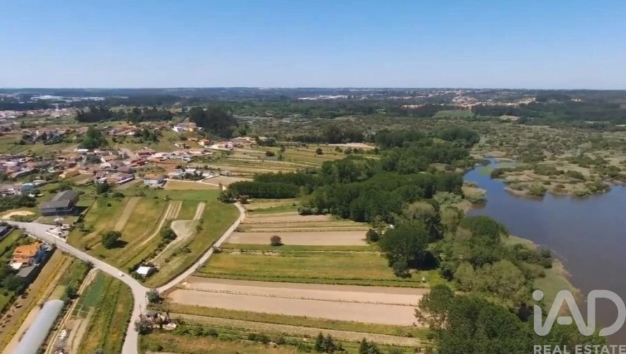 Prédio para Venda em Fermentelos Foto 10