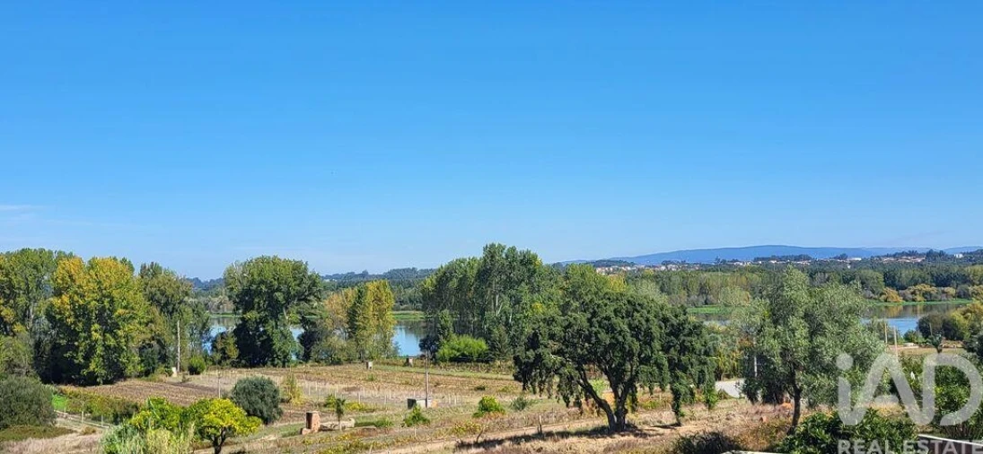 Prédio para Venda em Fermentelos Foto 6