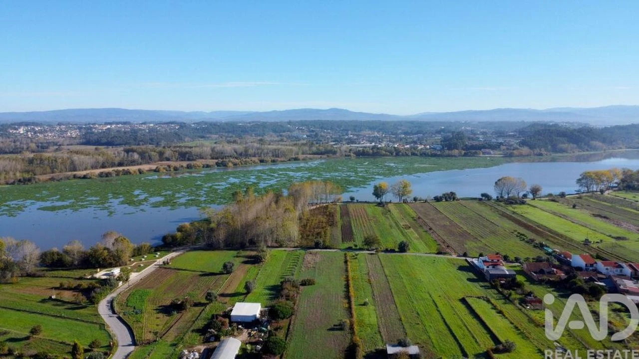 Prédio para Venda em Fermentelos Foto 7