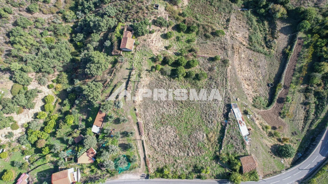 Quinta para Venda em Vila Velha de Rodão Foto 4