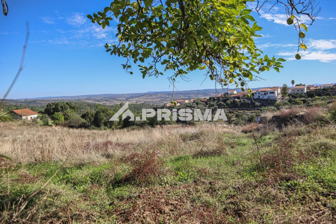 Quinta para Venda em Vila Velha de Rodão Foto 22