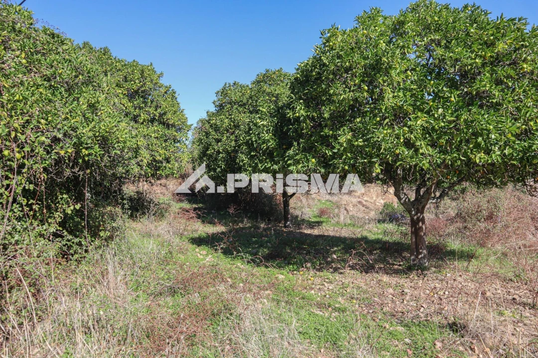 Quinta para Venda em Vila Velha de Rodão Foto 29
