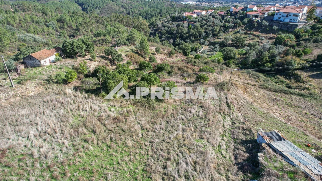Quinta para Venda em Vila Velha de Rodão Foto 14