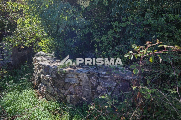 Quinta para Venda em Vila Velha de Rodão Foto 15