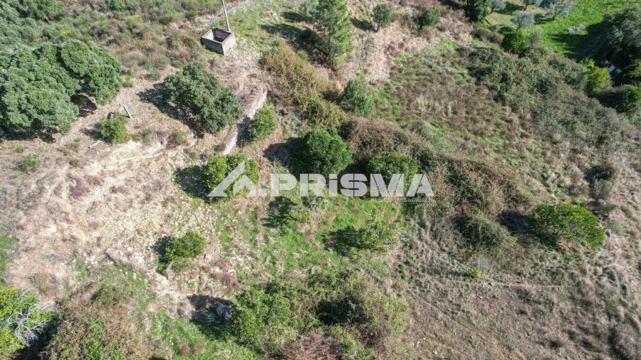 Quinta para Venda em Vila Velha de Rodão Foto 20